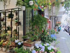 -溪岸路花鸟市场
