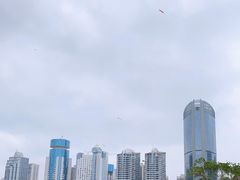 -万绿园