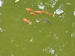 -迎江寺