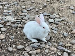 -广东花都香草世界旅游度假区