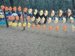 -玫瑰海岸文化旅游度假区