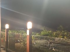 -渔家火锅·海鲜自助餐·演艺(亚龙湾天域酒店)