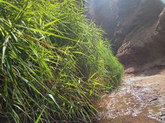 -天山神秘大峡谷