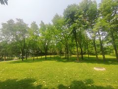 -北坞公园