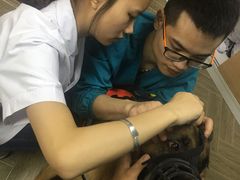 -联合动物医院(光谷诊疗中心)