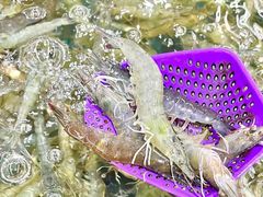 -世纪联华超市(外海店)