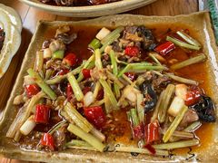 -青城甲(青城山店)