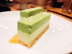 -柴务处·柴犬主题狗咖