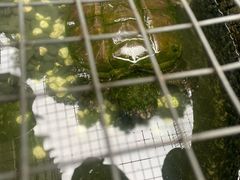 -生宇山珍野生菌汤锅•始于1999(双流古塔店)