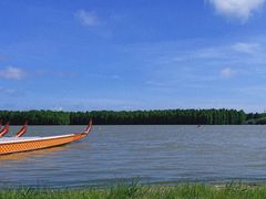 -上海海湾国家森林公园