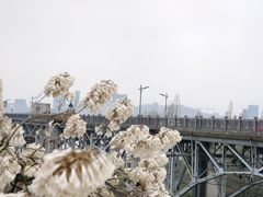 -钱塘江大桥