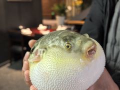 -永安鱼庄·镇江菜(东吴路店)