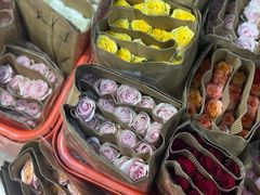 -溪岸路花鸟市场