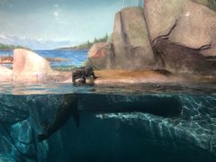 -福州罗源湾海洋世界旅游区