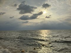 -日照海滨国家森林公园