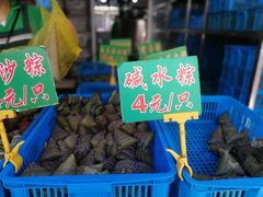 -召稼楼永茂昌粽子大王