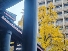 -平安桥天主教堂