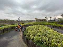 -季高兔窝窝亲子园(上海薰衣草公园店)