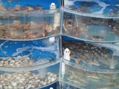 -海之味海鲜大咖·家常菜