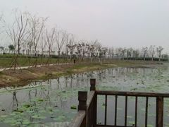 -天津东丽湖风景区