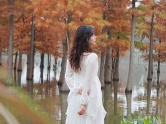 -白鹭湾湿地公园