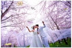 点击看大图 -芭莎视觉婚纱摄影(花溪店)