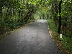 -大蜀山国家森林公园