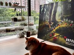 -瑞虹新天地月亮湾
