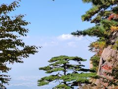 -黄山风景区
