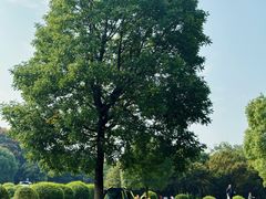 -南京市江宁方山