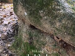 -火炉山森林公园