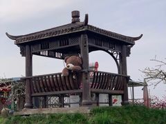 -樂桃源奉贤黄桃种植采摘基地