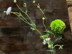 -陶享时光西餐·下午茶·竹林花园(新城店)