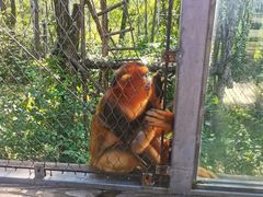 -哈尔滨北方森林动物园