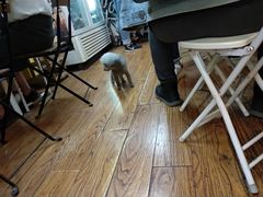 -志龙皇冠吃货椰子铺