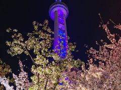 -东方明珠广播电视塔