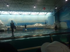 -秦皇岛乐岛海洋王国