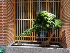 -囍榷·鲜美常州菜(恐龙园店)