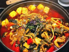 -华华火锅牛蛙(祥宾店)