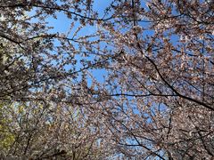 -辽宁省实验学校(赤山校区)