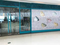 -FISH&POTATO Cō(地中海美食 万象城店)