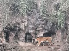 -杭州动物园