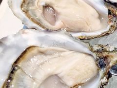 -Oyster Talks 四度蚝法餐厅