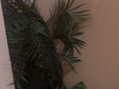 -黄金海岸水疗会所(凯利宾馆店)