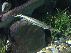 -福州罗源湾海洋世界旅游区