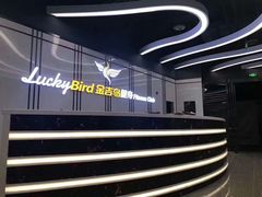 -金吉鸟健身游泳