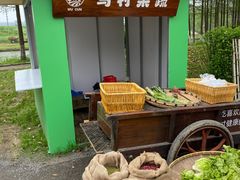 -乌村