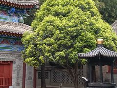 -罔极寺