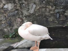 -南京珍珠泉风景区