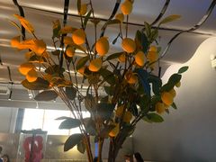 -Gray Whale 灰鲸餐厅(北美N1店)